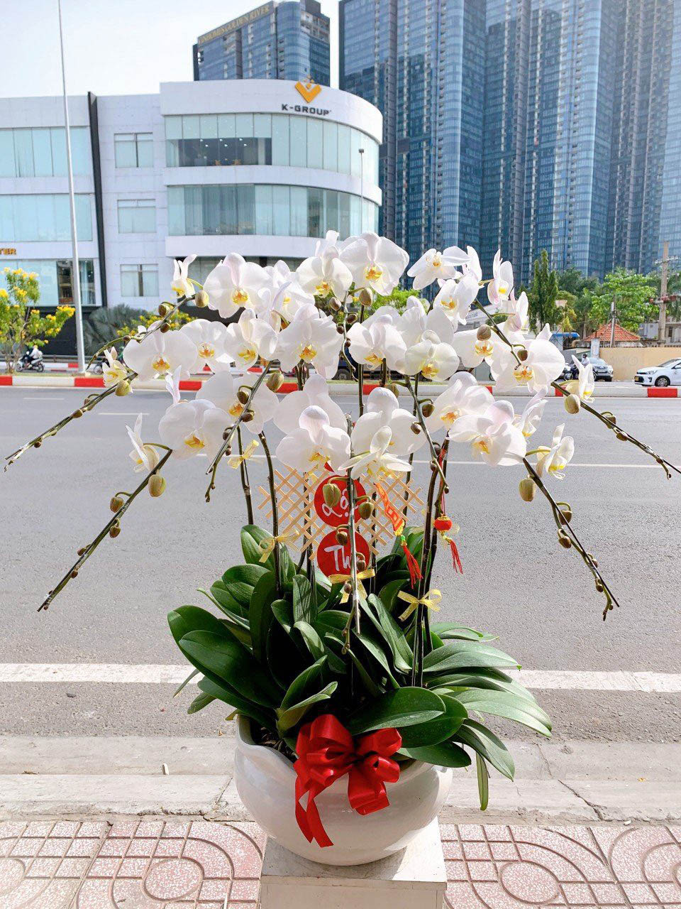 LAN HỒ ĐIỆP TRẮNG