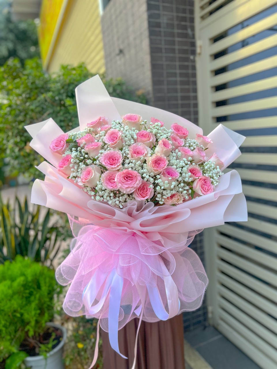 BABI TRẮNG MIX HỒNG LẠC THẦN - BH09