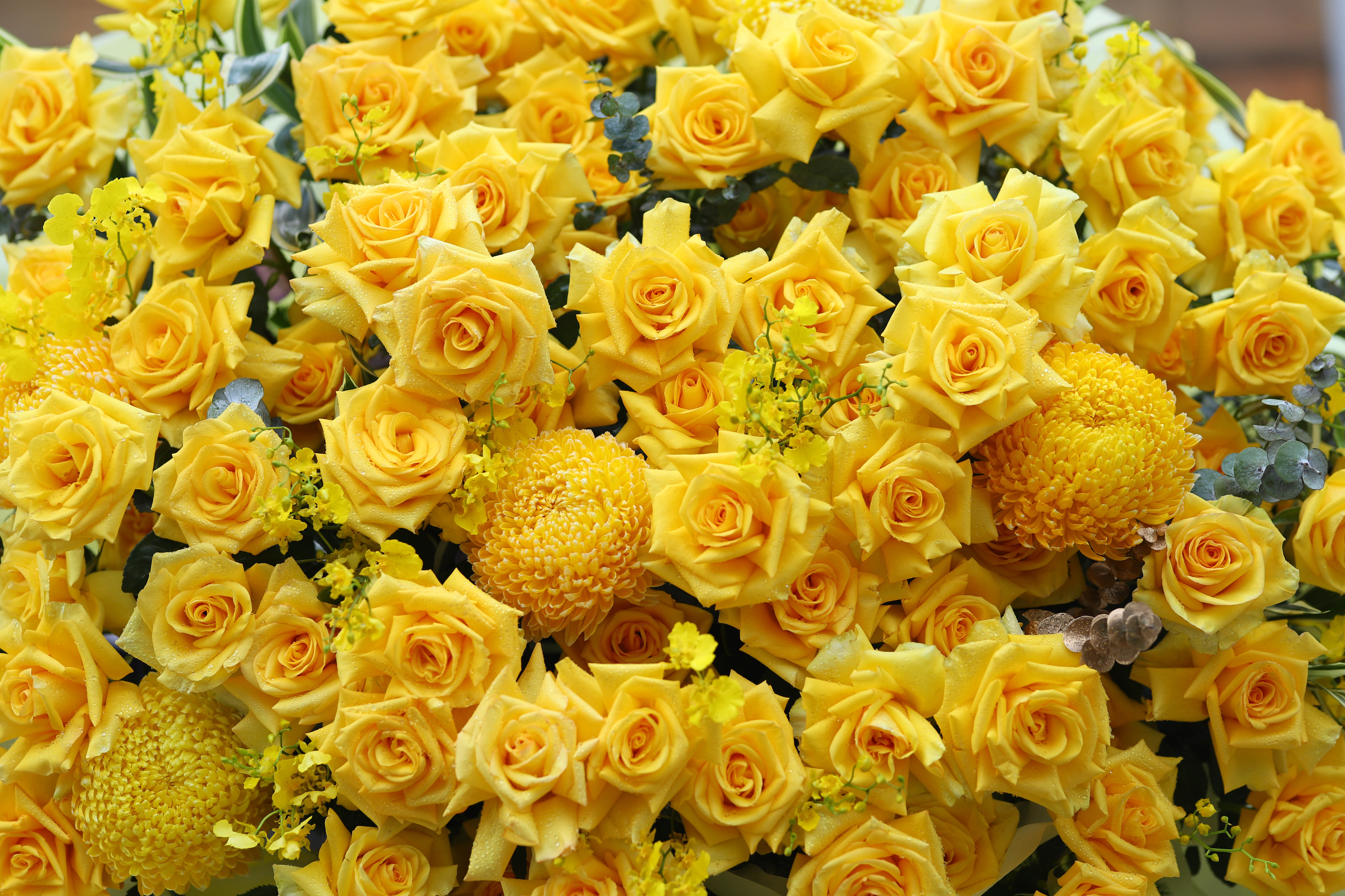 KỆ CHÚC MỪNG - KCM02