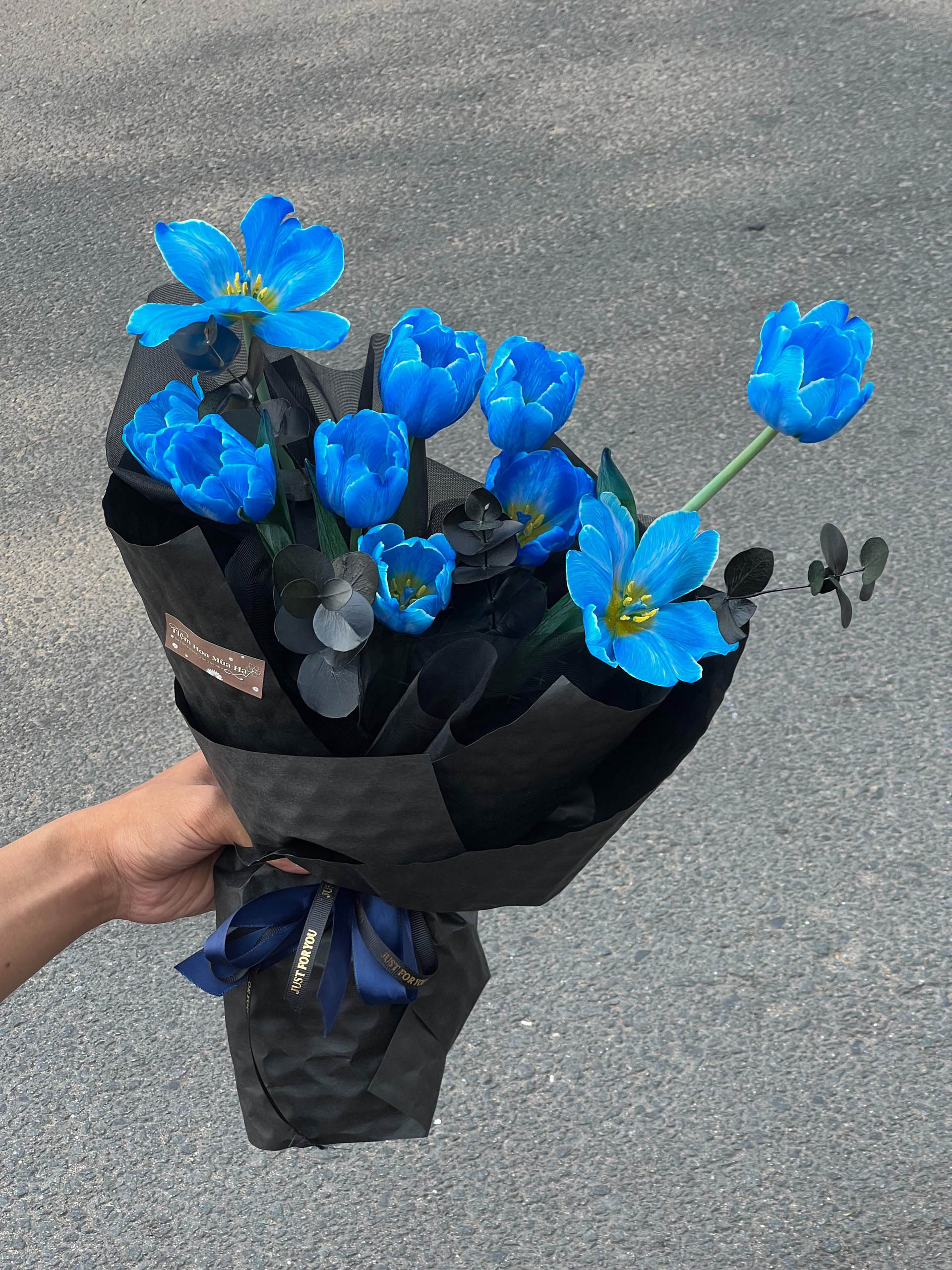 XANH DƯƠNG HUYỀN BÍ - HNK12