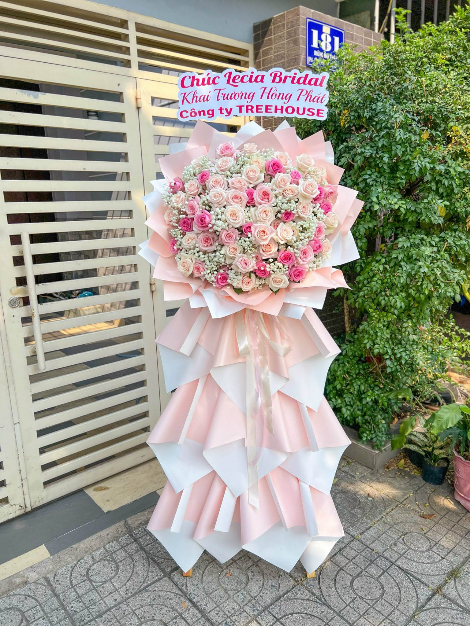 KỆ CHÚC MỪNG - KCM70