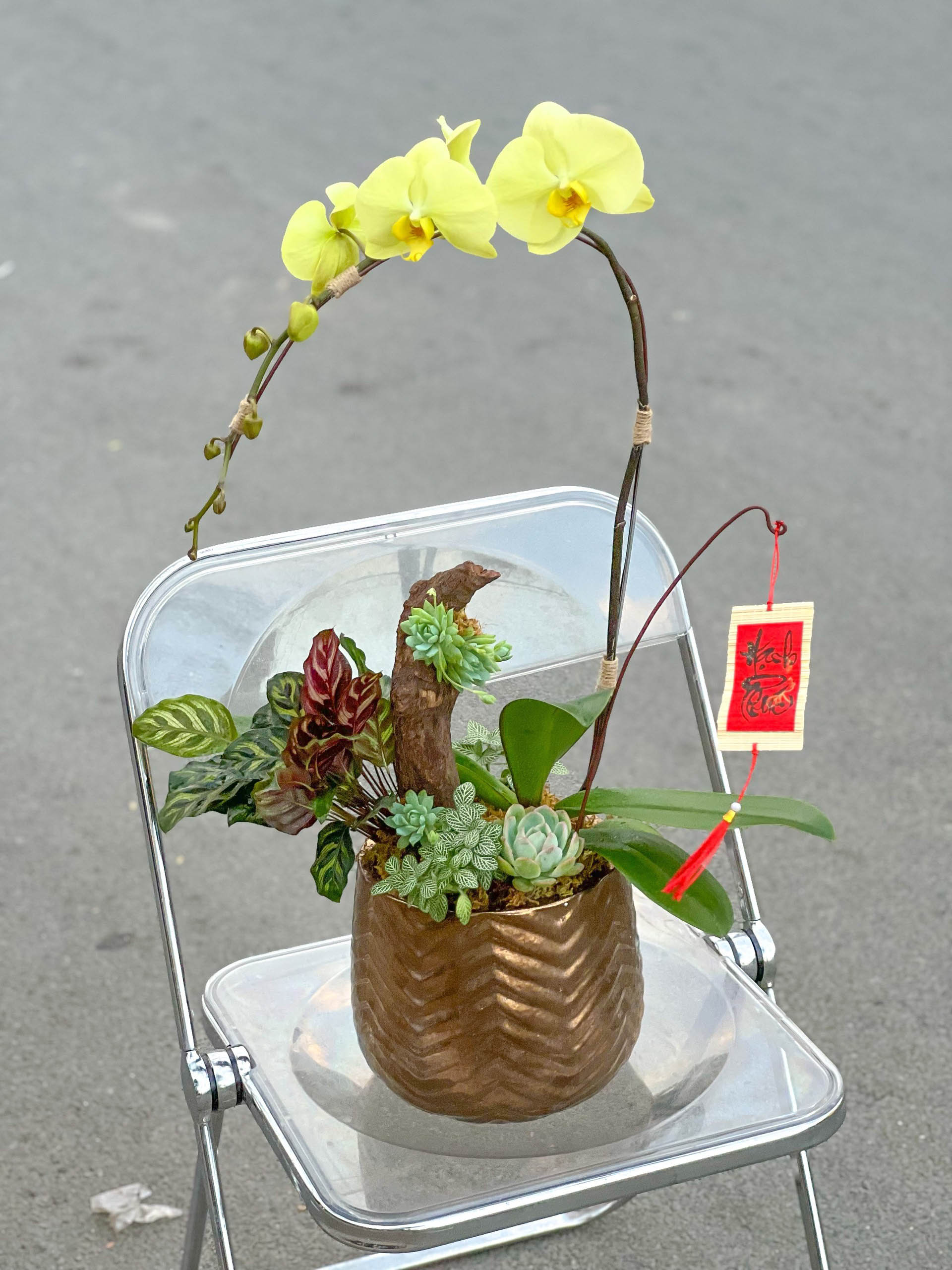 LAN HỒ ĐIỆP HẠNH PHÚC
