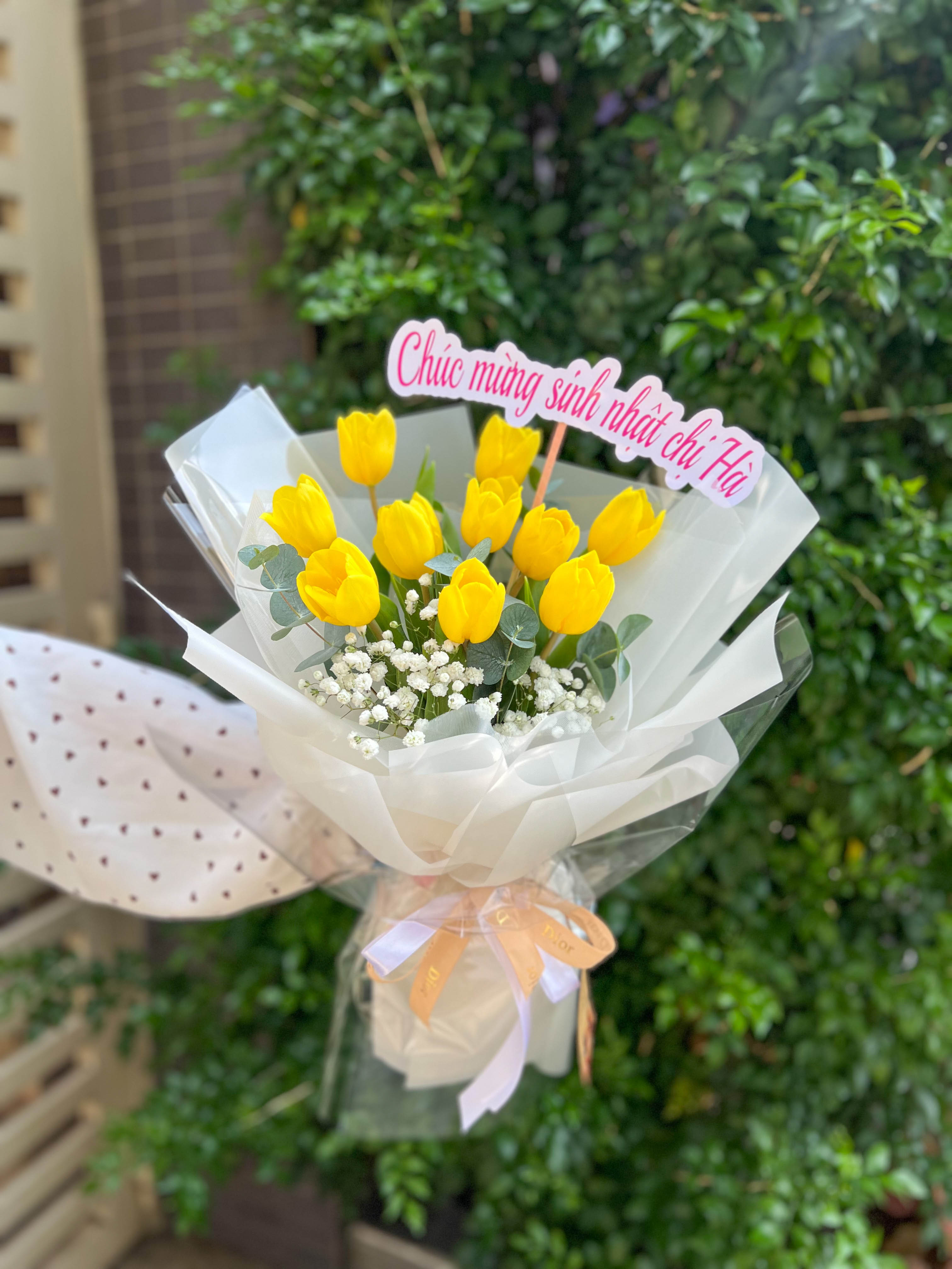 BÓ HOA TULIP VÀNG - HNK21