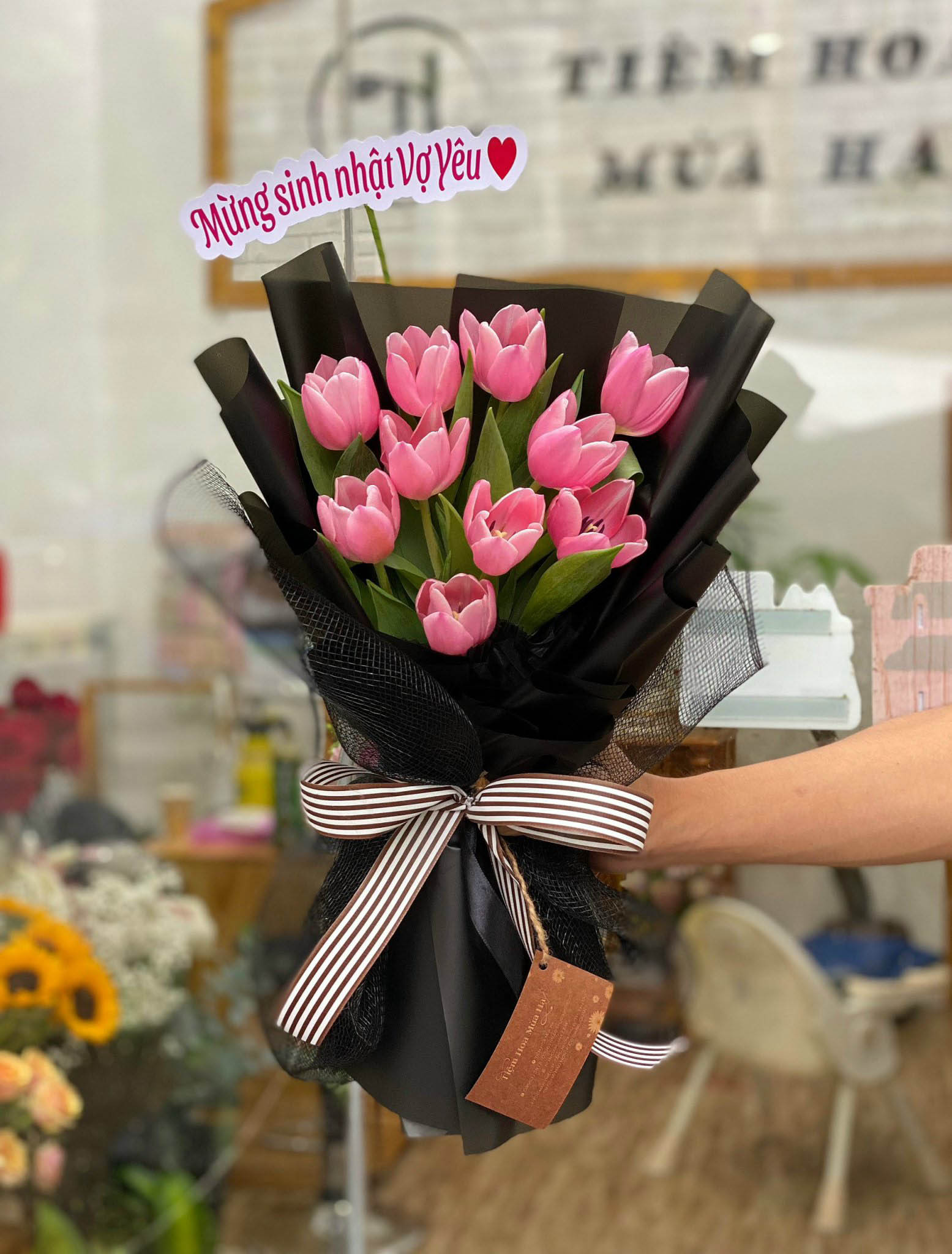 TULIP HỒNG - HNK22