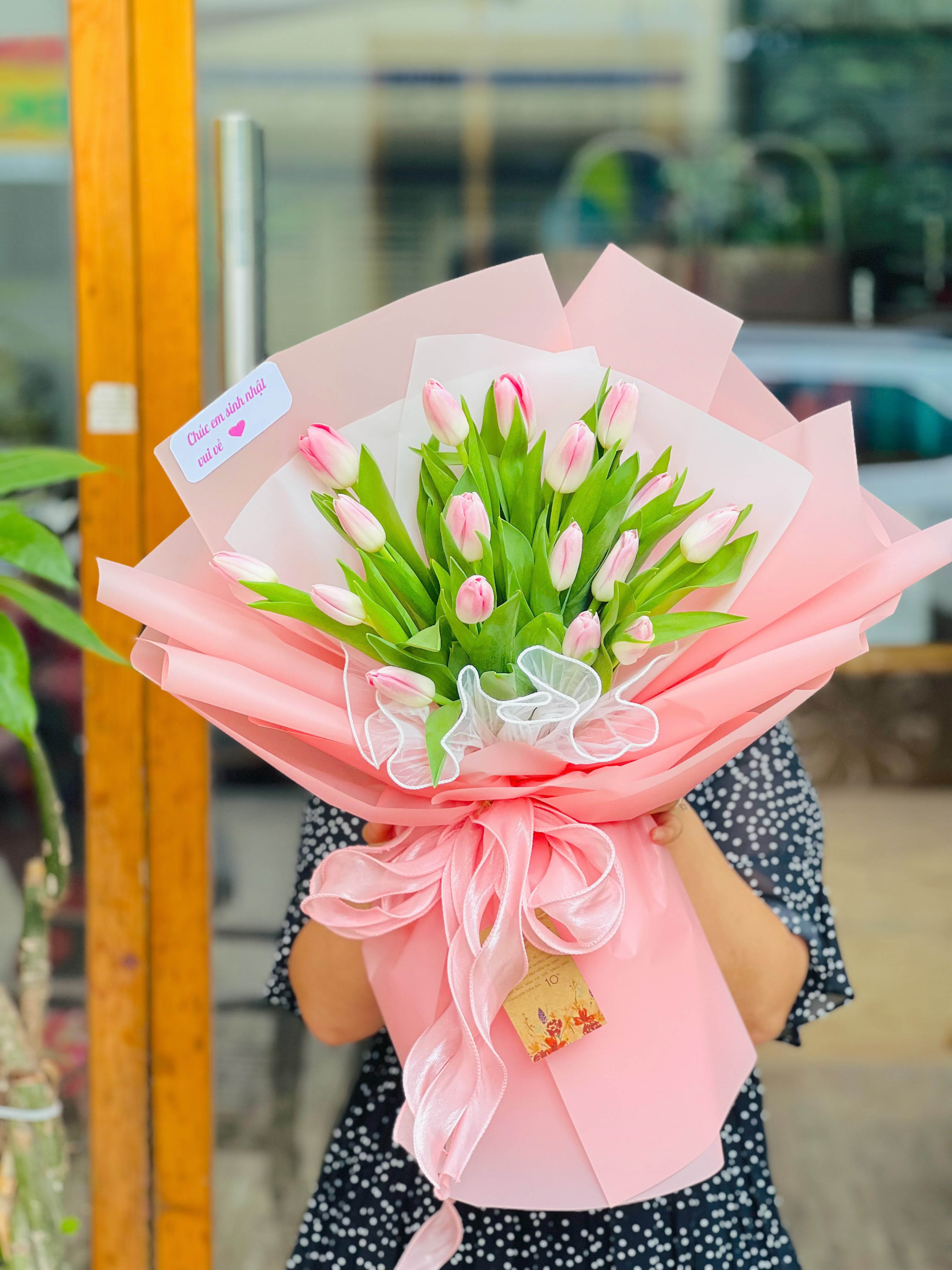 TULIP HỒNG - HNK24