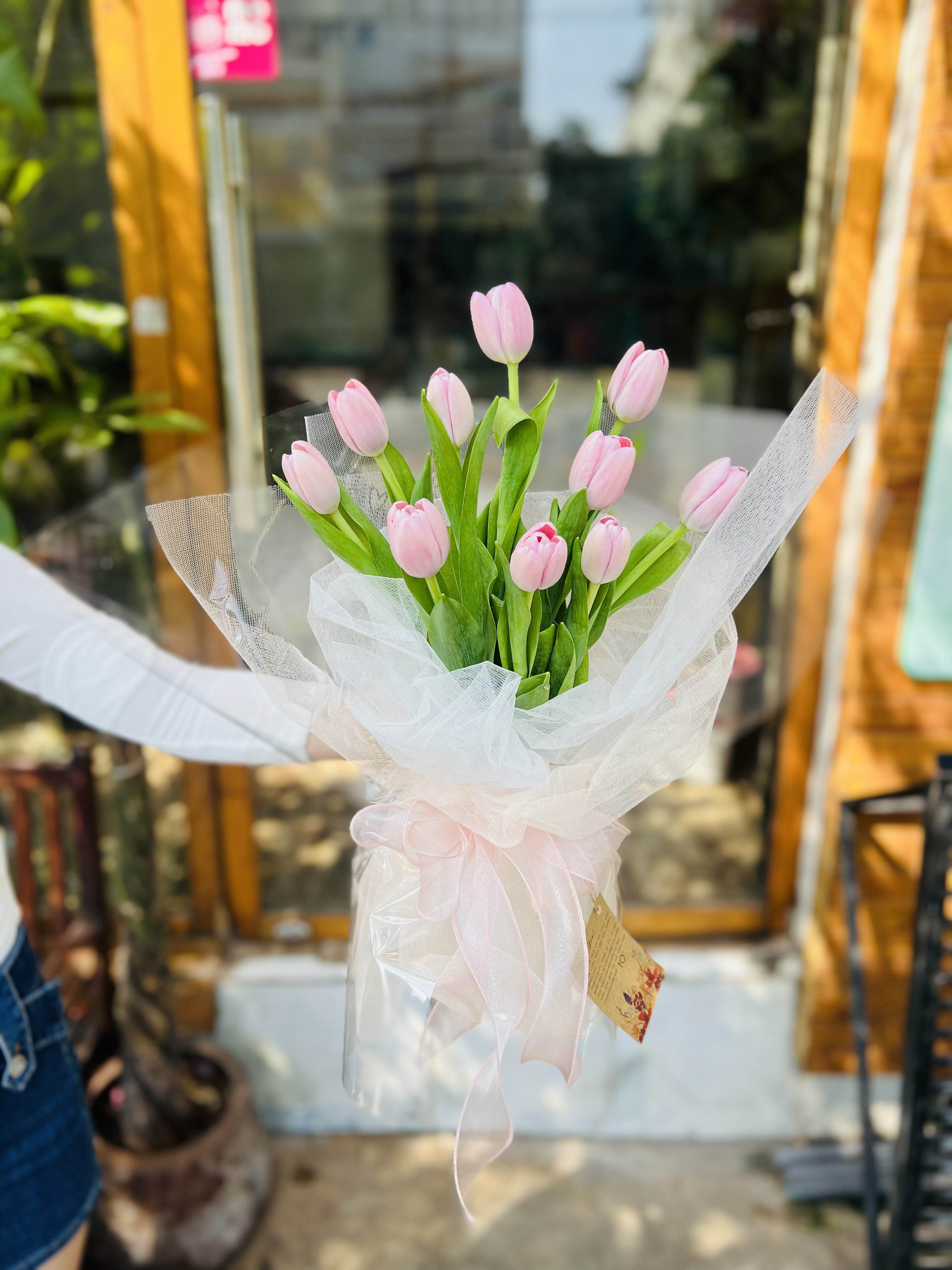 TULIP HỒNG - HNK26