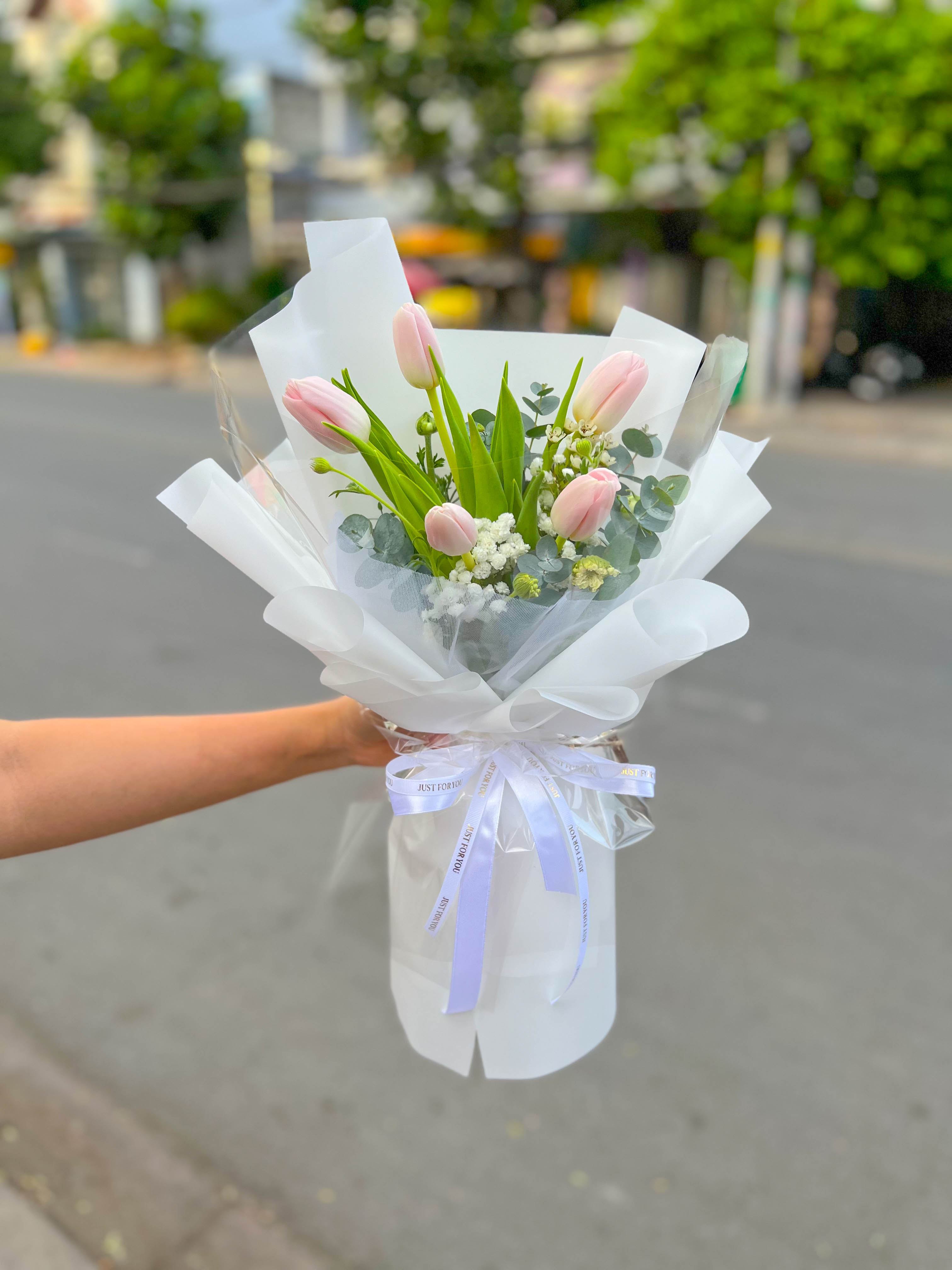TULIP HỒNG - HNK38