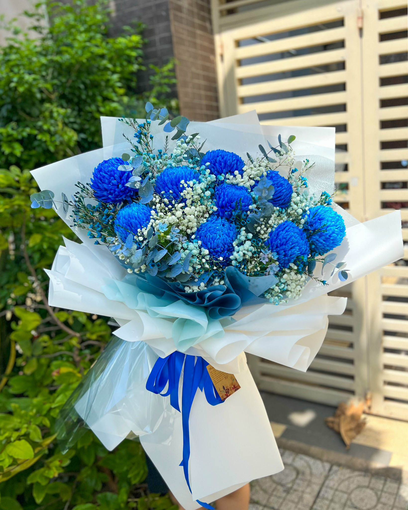 CÚC MẪU ĐƠN - HNK42