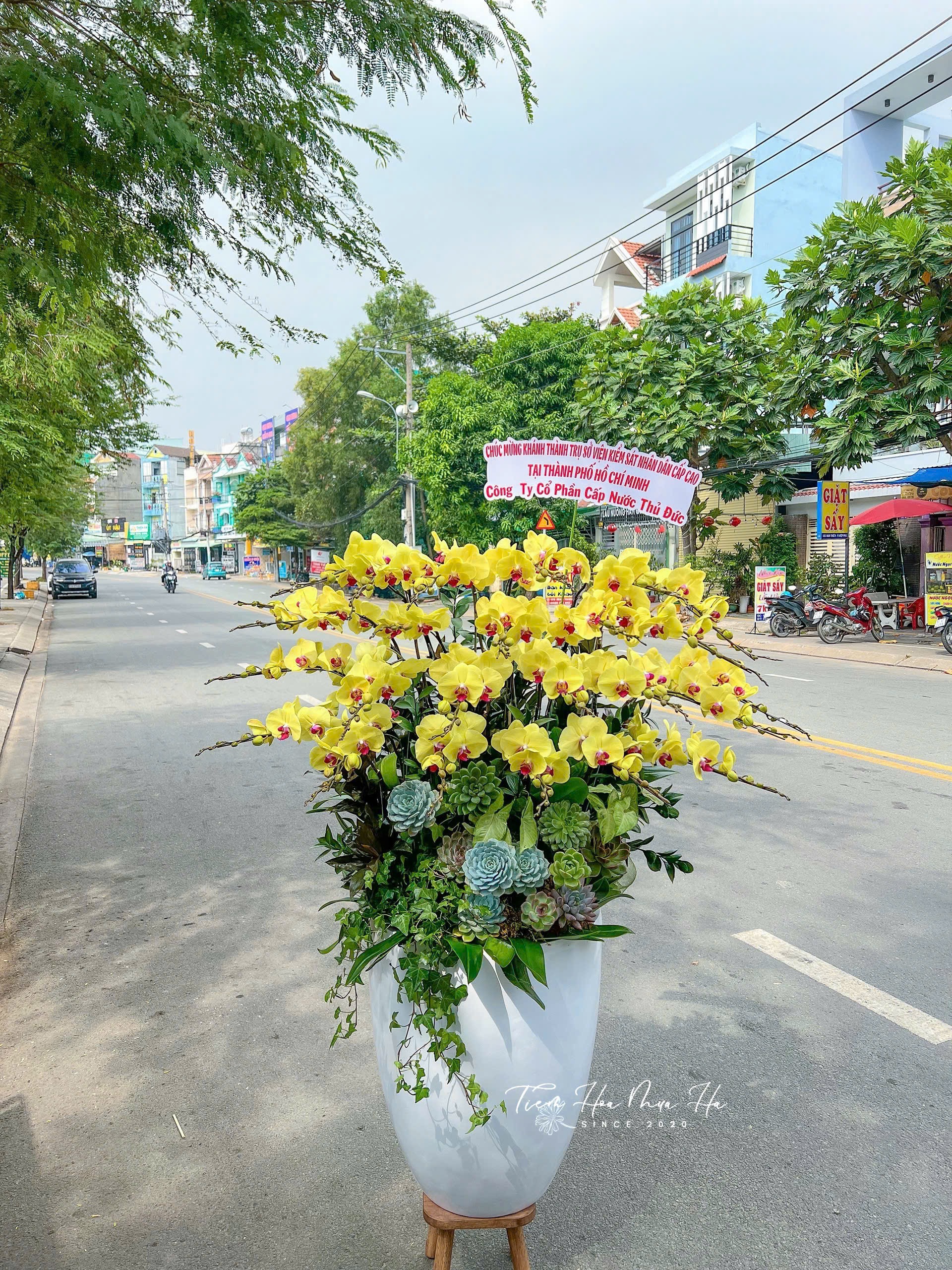 LAN HỒ ĐIỆP - LHĐ15